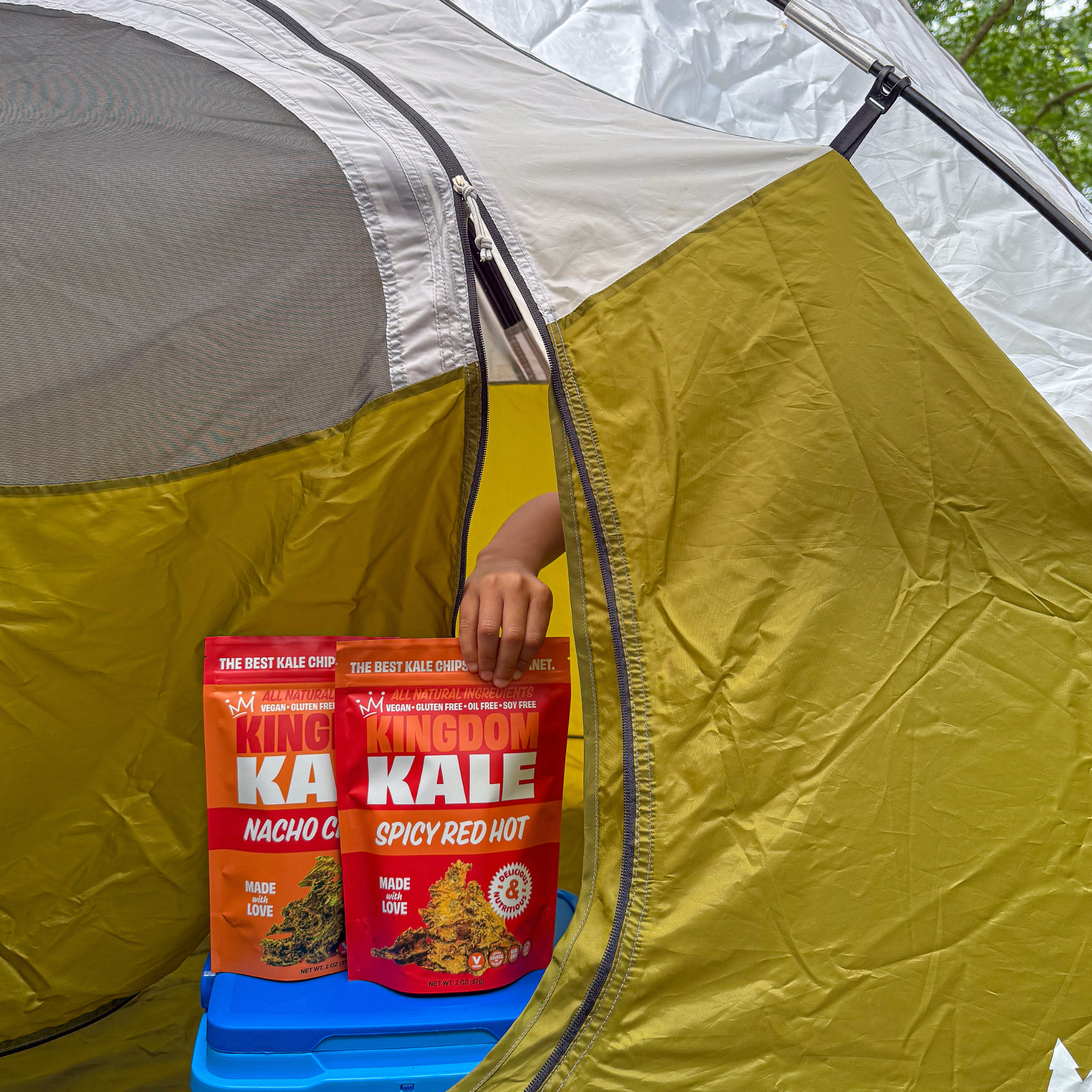 Spicy Red Hot Kale Chips - Vegan, Gluten-Free, Non-GMO