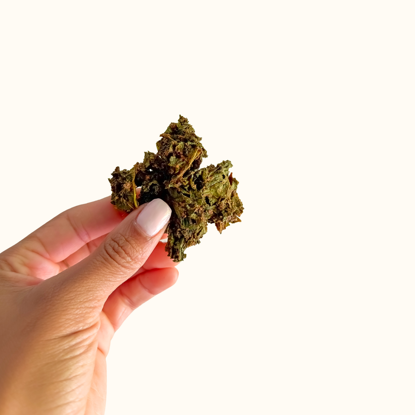 Ginger Date Kale Chips - Vegan, Gluten-Free, Non-GMO
