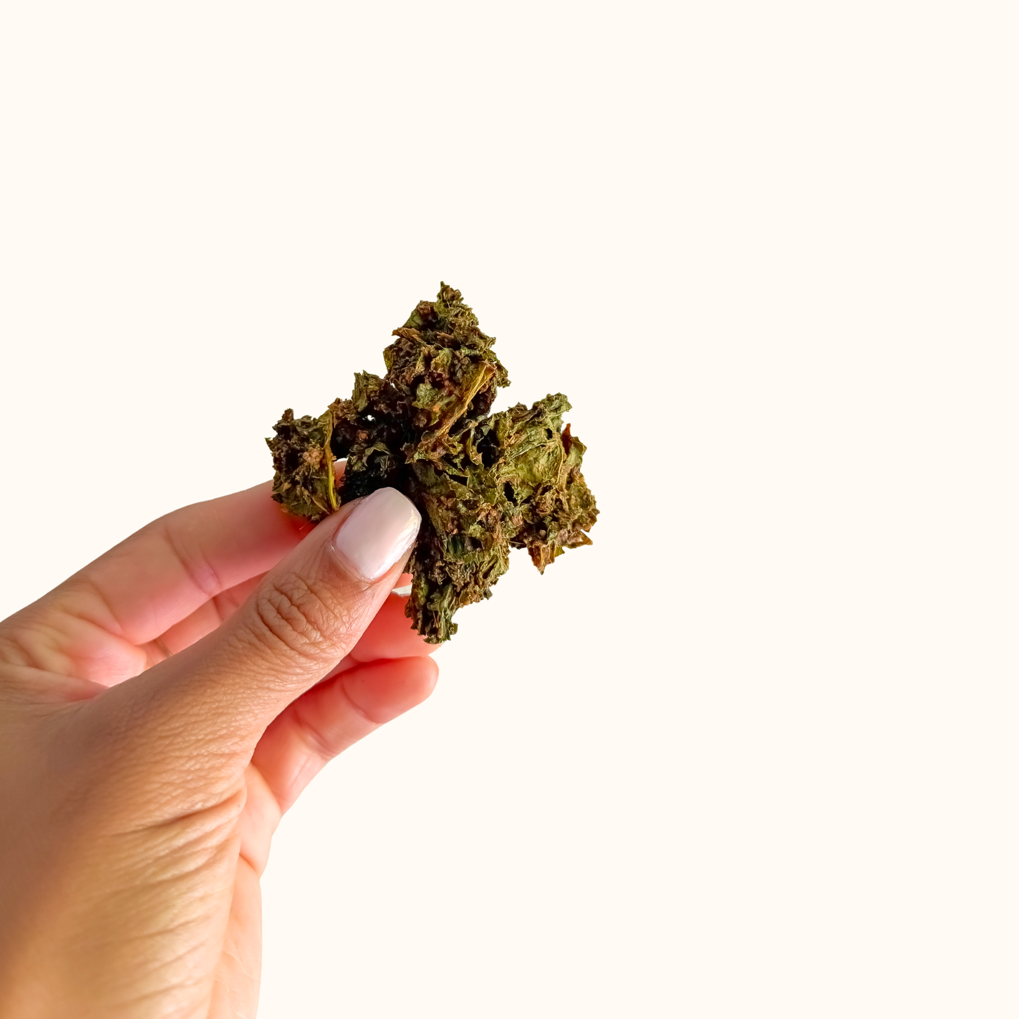 Ginger Date Kale Chips - Vegan, Gluten-Free, Non-GMO